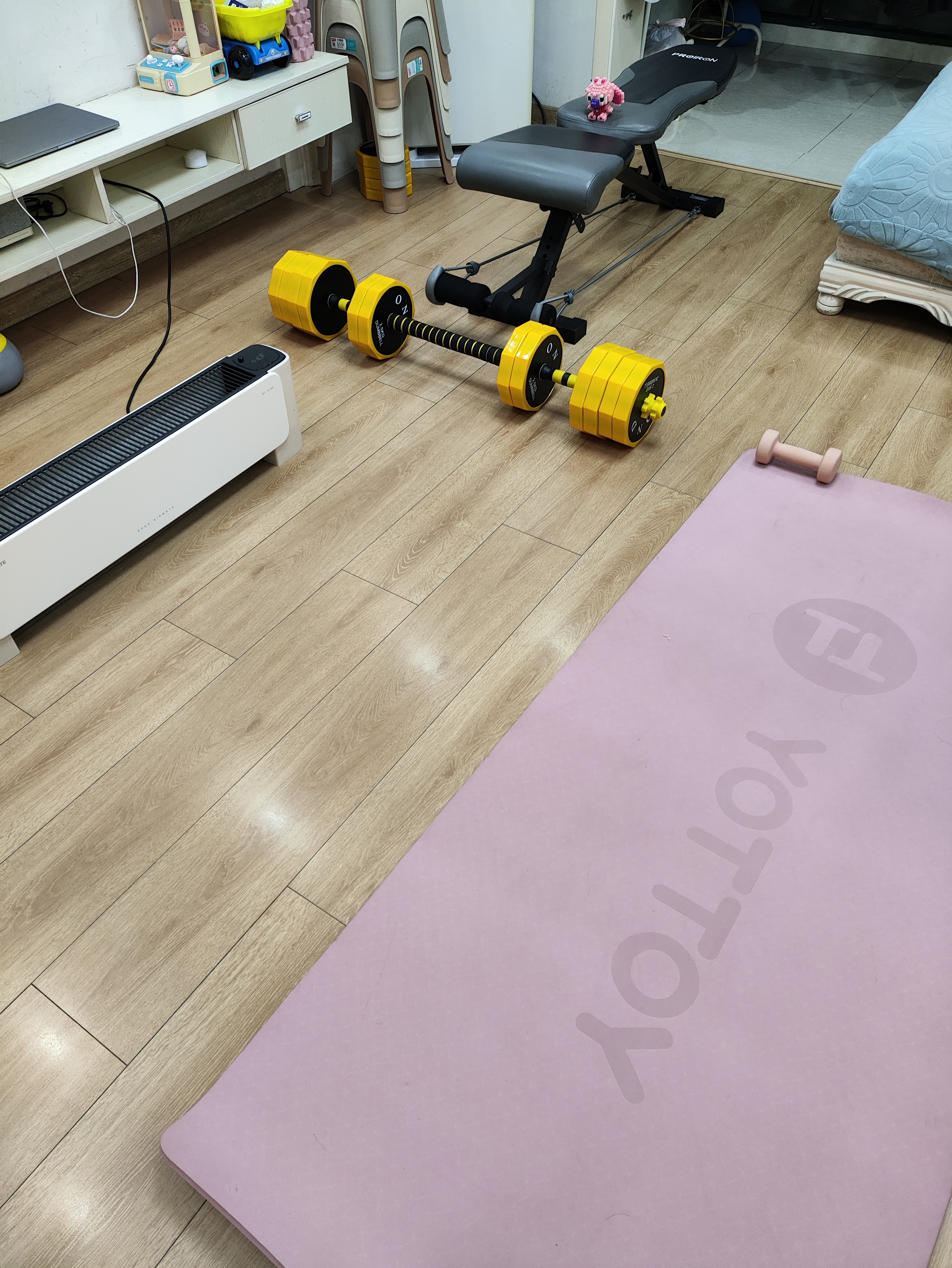 赶在春节前，无压仰卧起坐5组110，哑铃凳弹力绳蹬腿左右各5组各110，31公斤