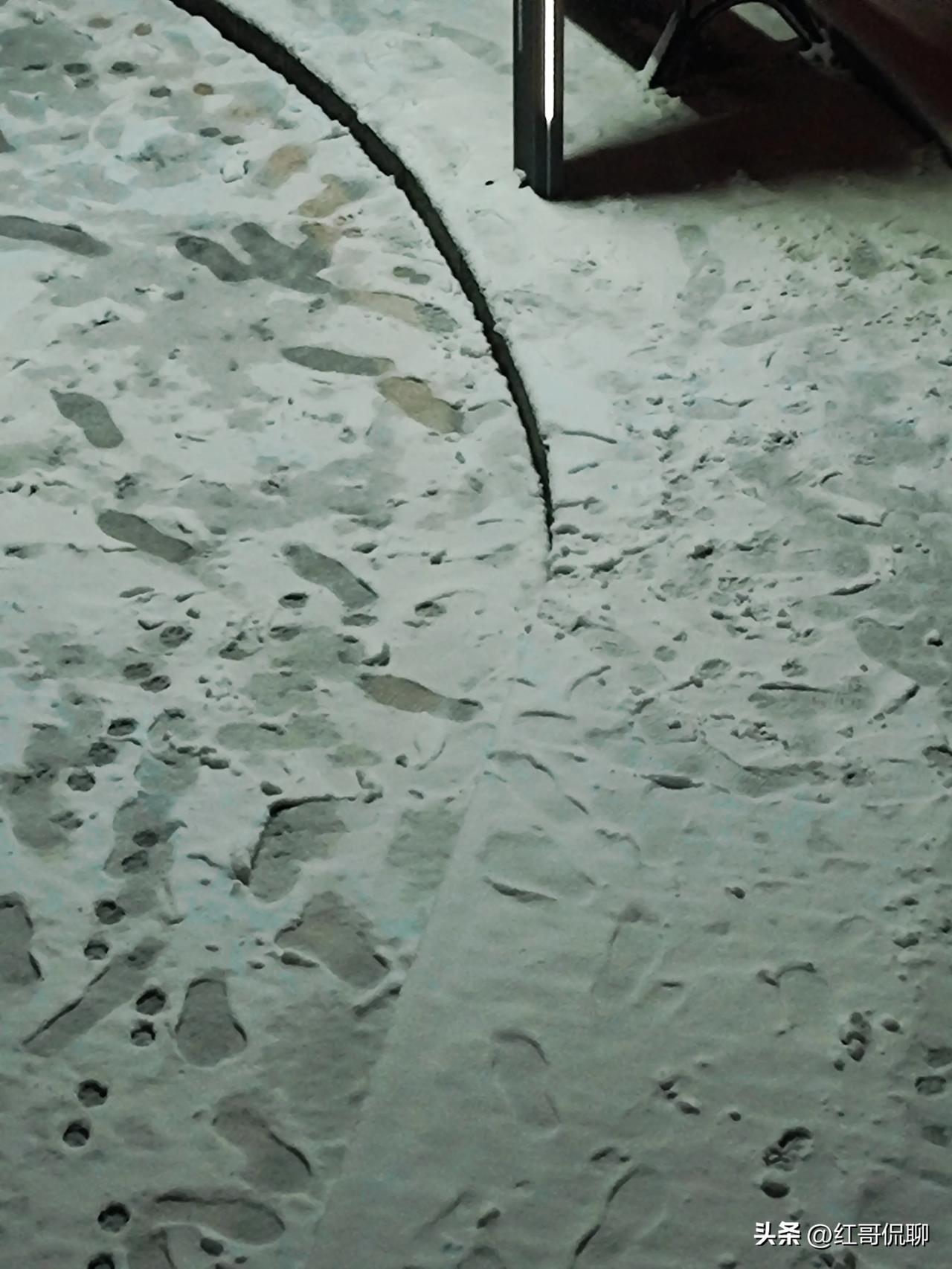 今年春天真是倒春寒，刚暖和就一场雪，这几天三场雪落，还不小呢！挺有意思的！