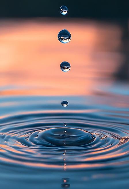 一滴水
落在河里就是河水
落在湖里就是湖水
落在海里就是海水
落在溪流就是流水