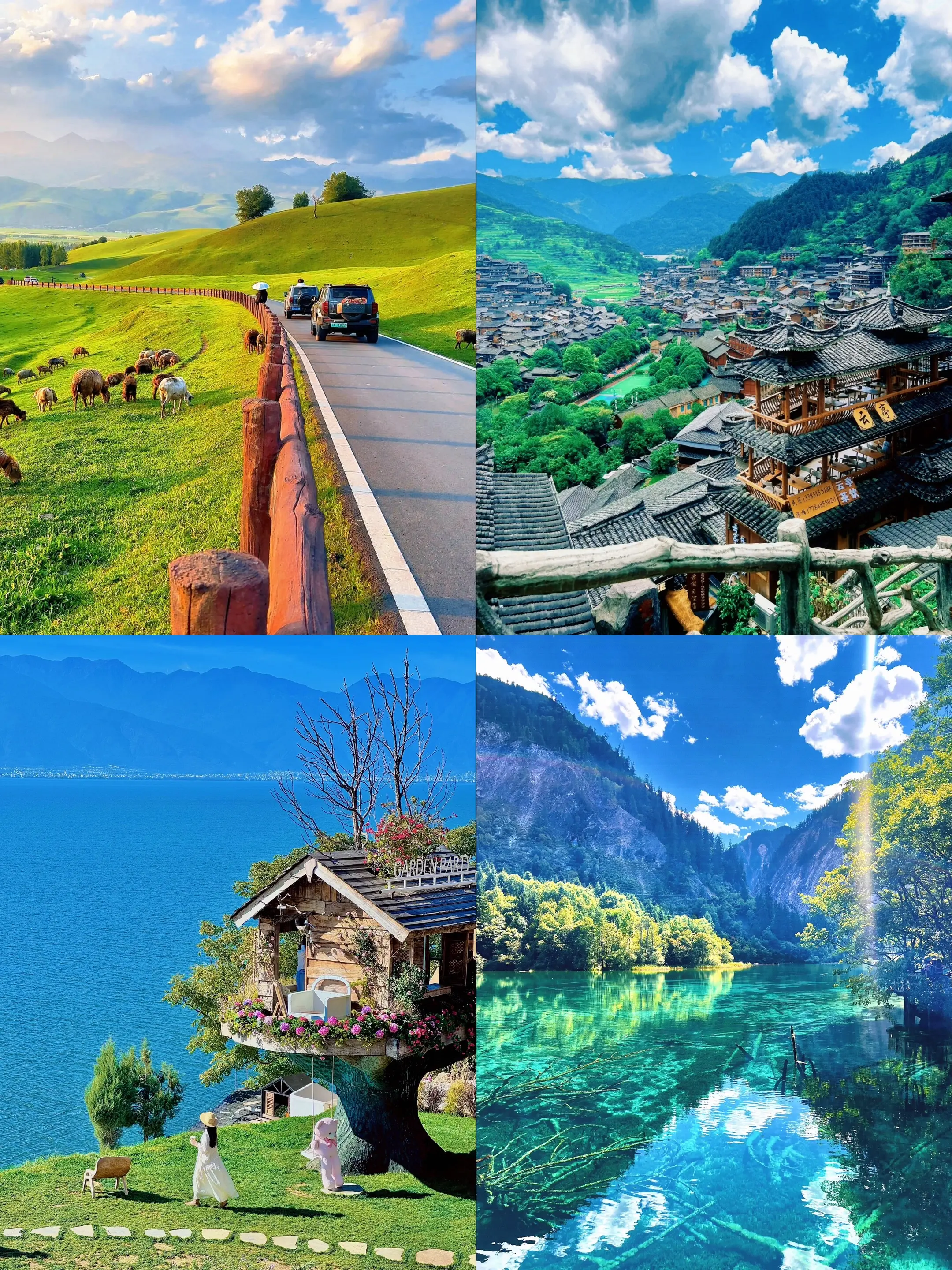 谁懂啊！夏天旅游直接封神的四个地方我替你们试过了！ 伊犁：雪山、森林...