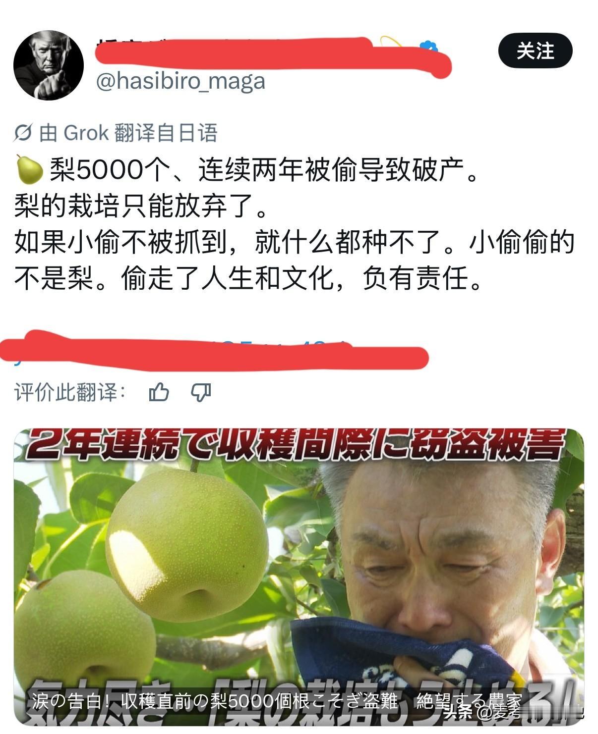 最近日本有一条新闻传遍全网，福岡县梨子大量被盗，导致农民破产，以至于伤心不已的农