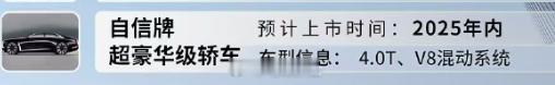 网传自信牌首款车型今年内上市  我们在网络上发现一张关于长城高端品牌自信的车型信