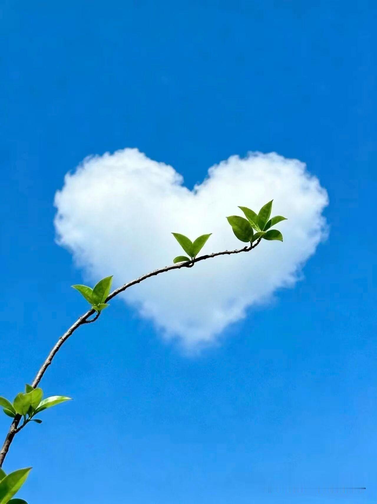 分享天空之景