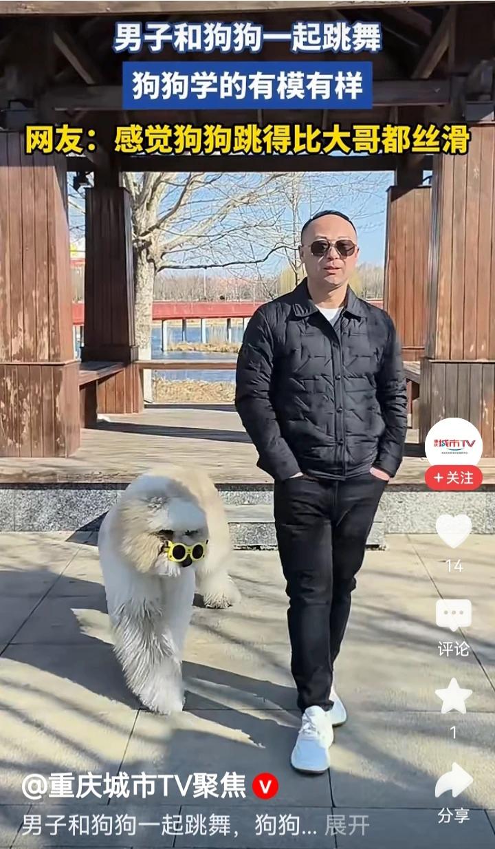 这只狗狗狗能模仿主人跳舞大逗了，这狗狗模仿能力太强了，引起了公圆内很多人观赏叫好