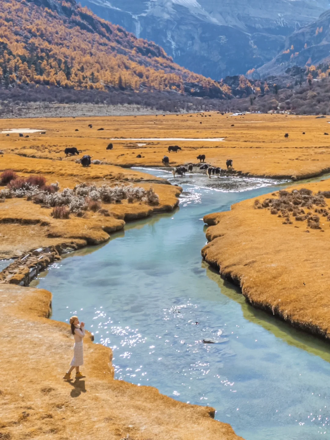 问了13个本地人，第一次去稻城怎么玩‼️