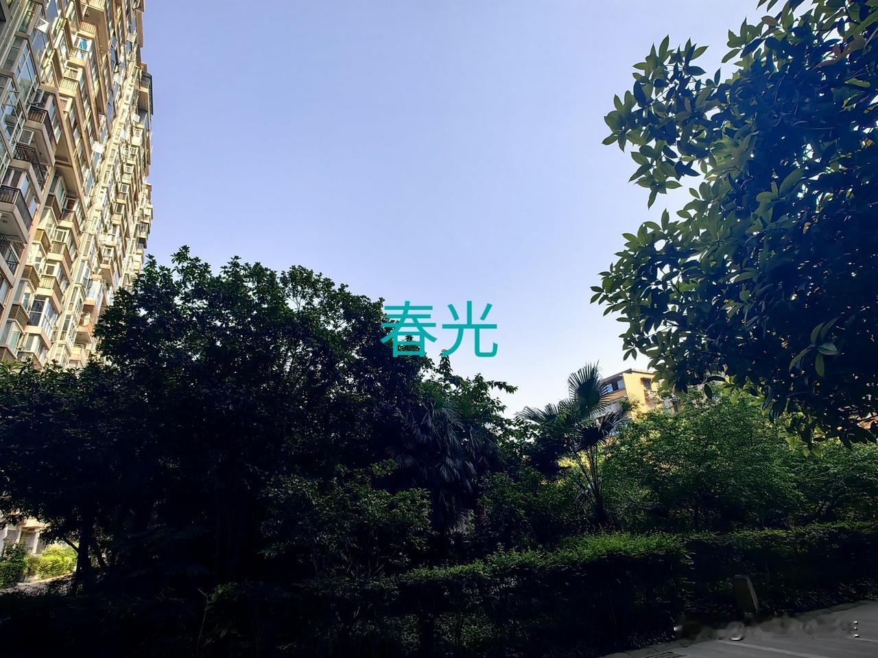 上联：喜坐秋湖评秀色，下联邀您对愁依春树忆前尘