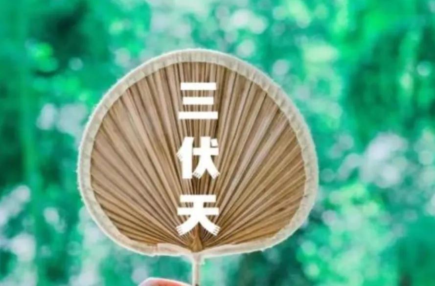 今日中伏，建议爱喝酒的中年男人：牢记“1不做2不喝”，顺应时节。


中伏天，在