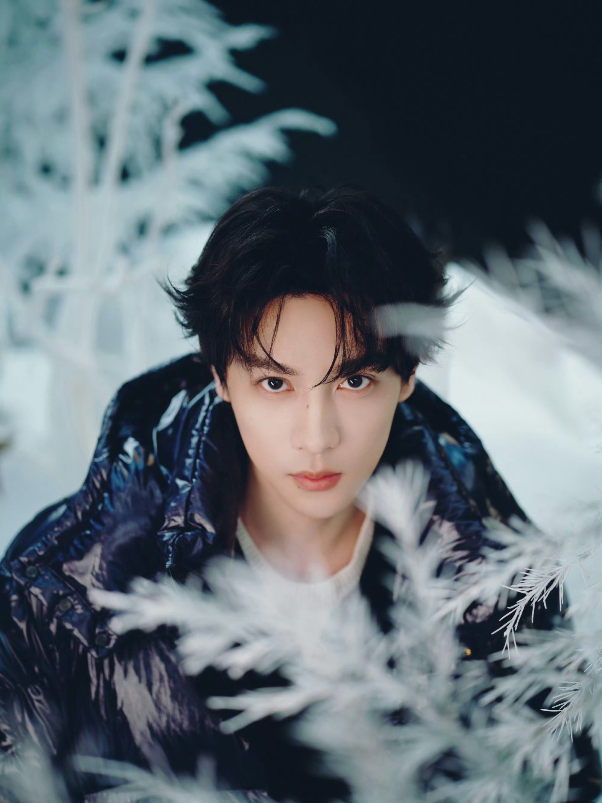 田栩宁｜ 直播活动造型出图，身穿品牌黑色羽绒服，all black look 大