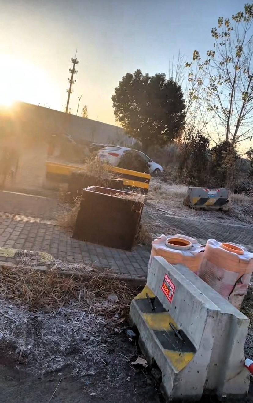 这是早上送孩子途中看到的，这边是一条河，河边有自拍，垂柳。

不管是朝阳还是夕阳