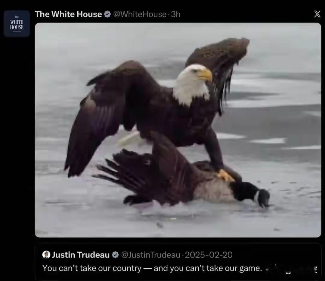 米兰冬奥会男子冰球决赛美国艰难以2:1战胜了加拿大男子冰球队。
结果出现了小孩子