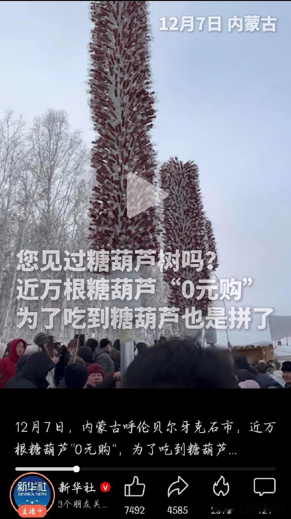 “拿完你的拿你的！”12月7日，内蒙古呼伦贝尔市，近万根糖葫芦“0”元购，为了吃