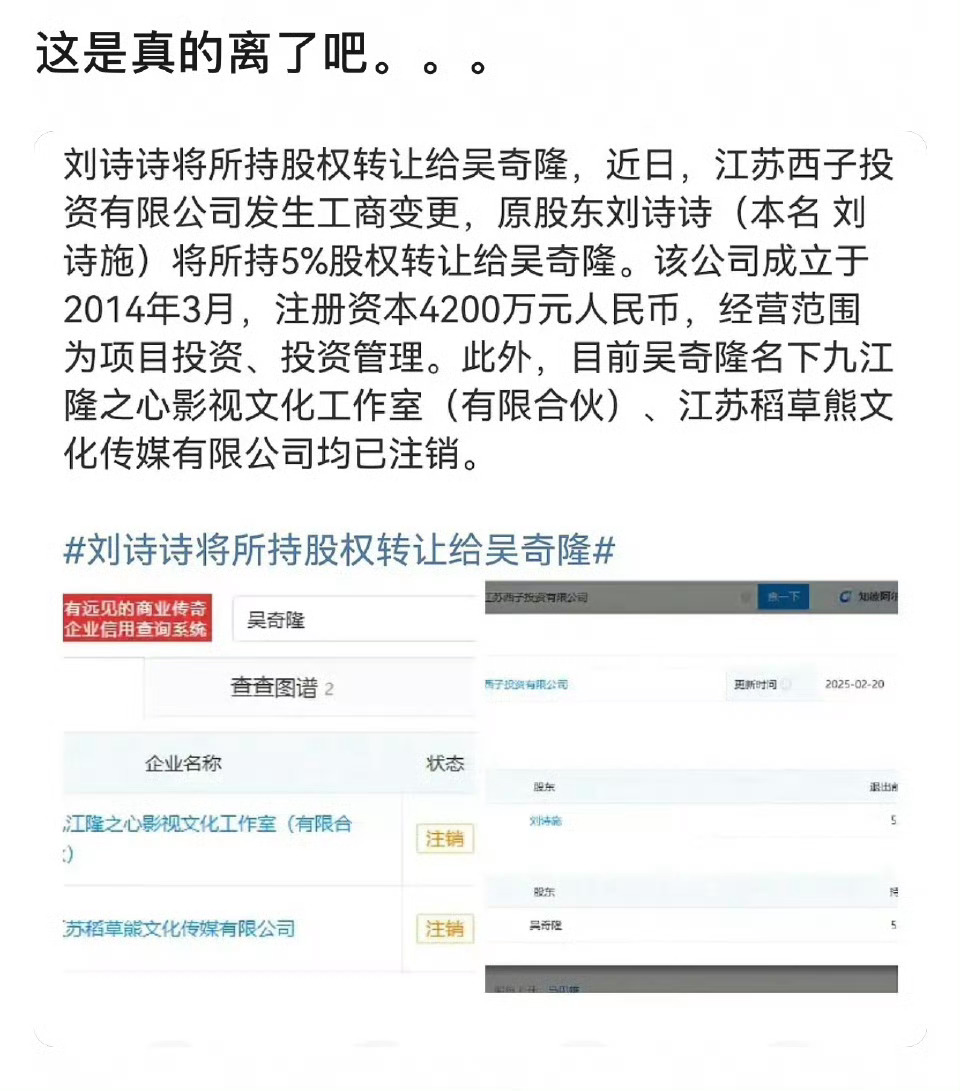 刘诗诗将所持股权转让给吴奇隆 股权转让我不懂，网友说刘诗诗吴奇隆可能真的离婚了，