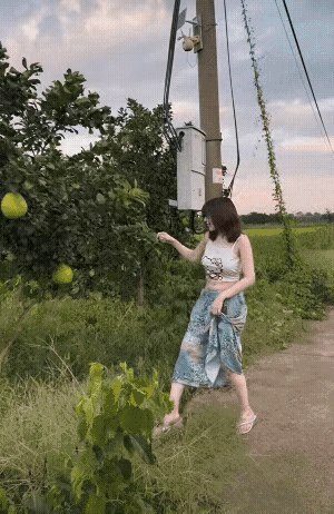 见到这样的小姐姐来果园偷柚子该怎么办？