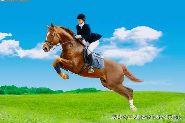 相马术和中国哲学的关系还挺微妙。在中国哲学里，讲究透过现象看本质，这和相马术不谋