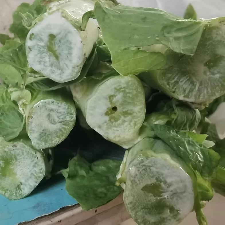 我喜欢研究农产品质量。想问大家一个问题。估计这个问题是仁者见仁，智者见智。意见会