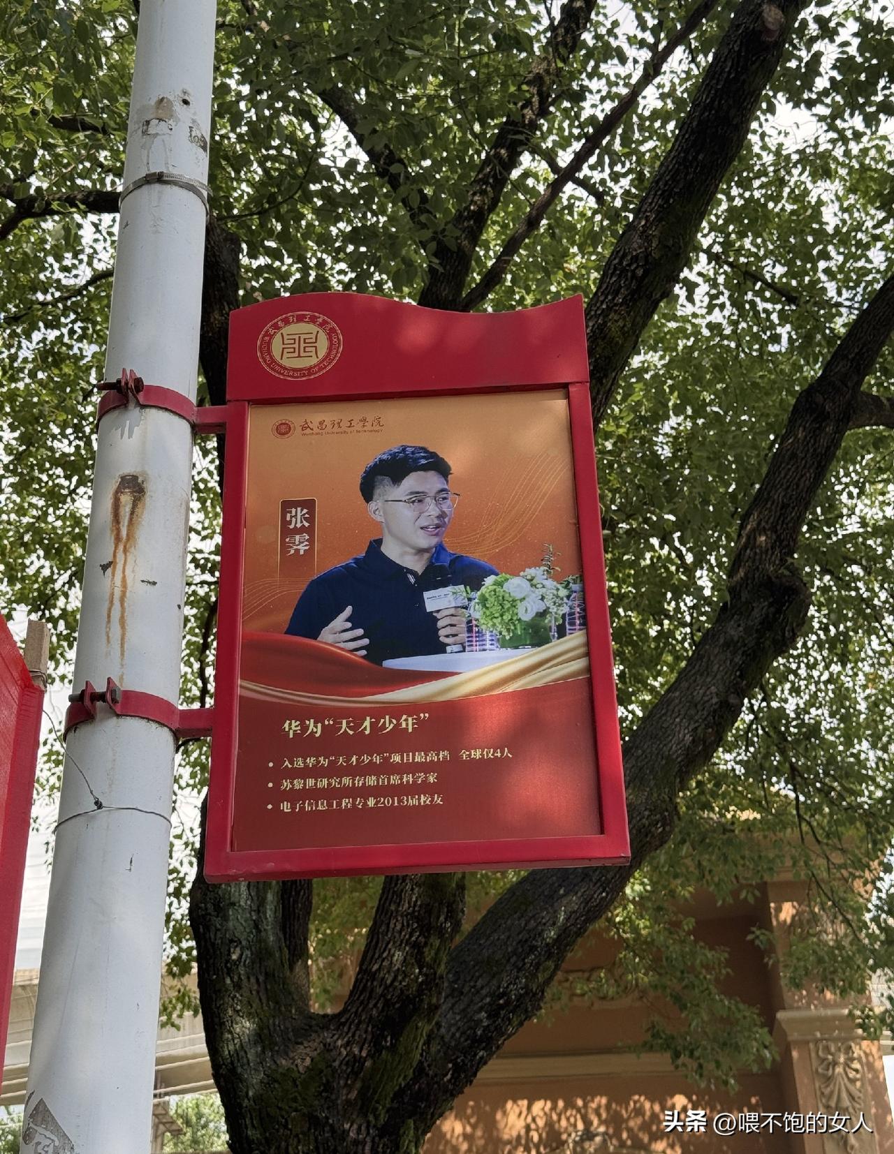 这个人牛掰！[捂脸][赞]
华为天才少年[赞]
难得一见的是他来自武昌理工学院。