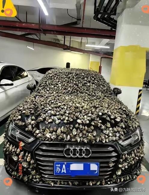 “一分钱不要，也得让你长记性！”业主车位被霸占10天，一怒之下做了这种事，他没有