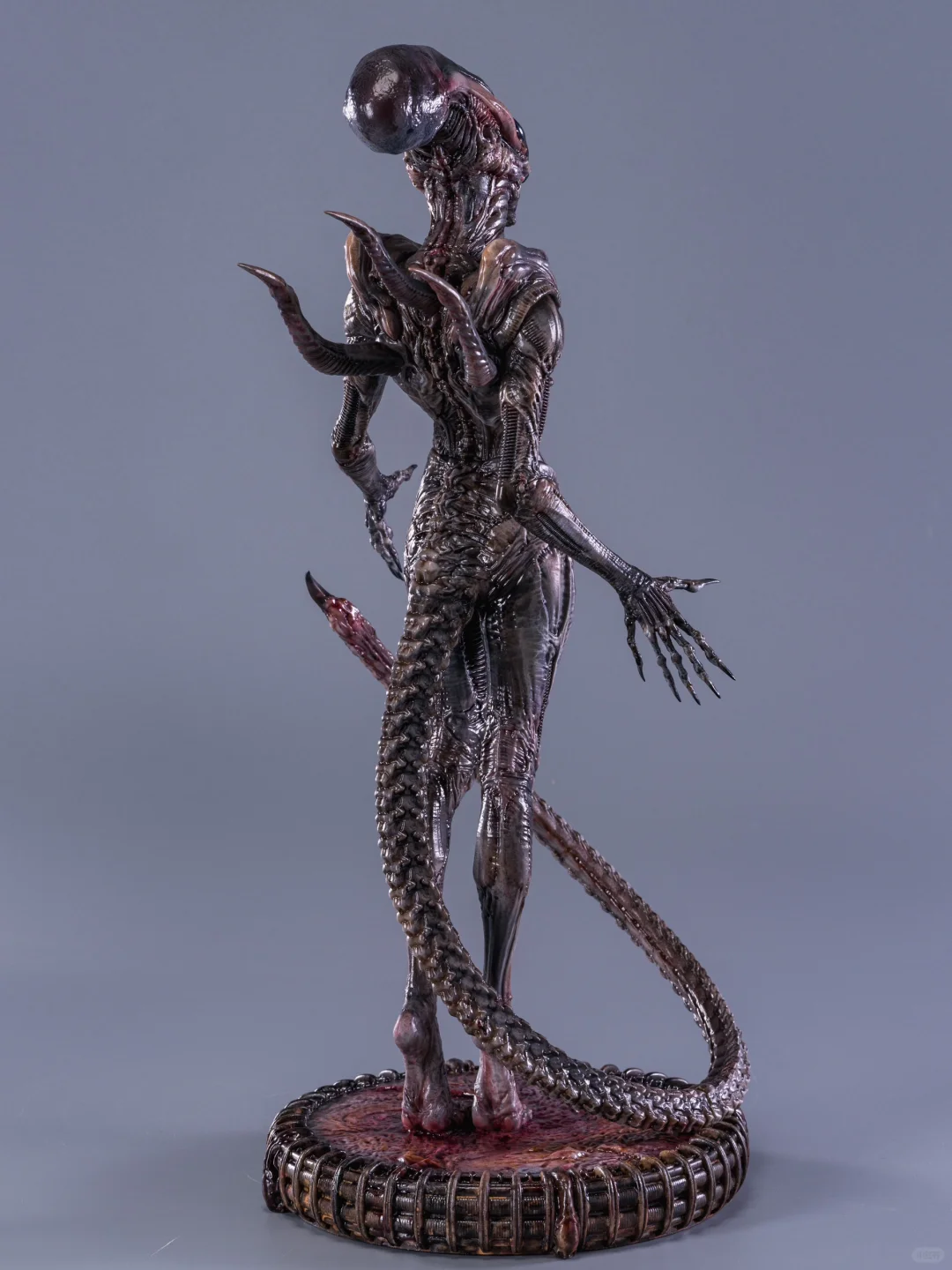 上海WF拍卖已上线！