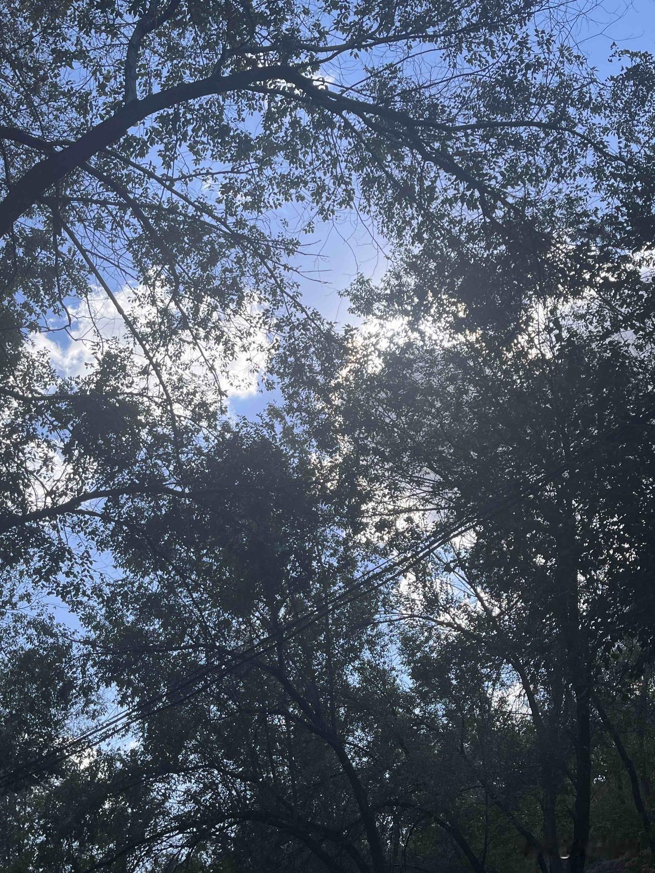 你是不是一睁眼就会看头条呢？现在刷头条成了生活中必不可少的一件事，每天都会在这里