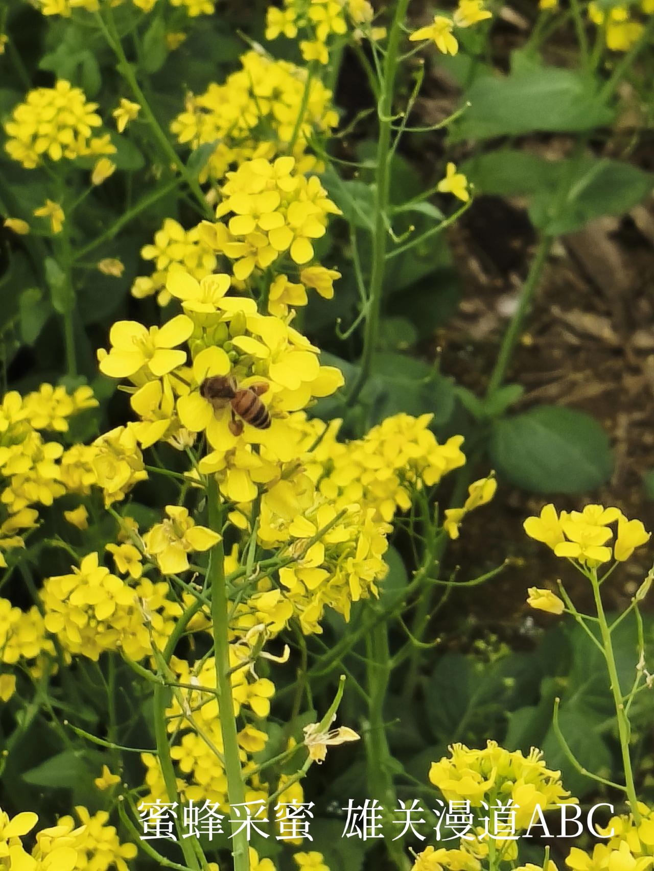 以一颗平常心游乐《今日头条》
头条是一个大课堂，讲台与教师已然固定，而台下的受教