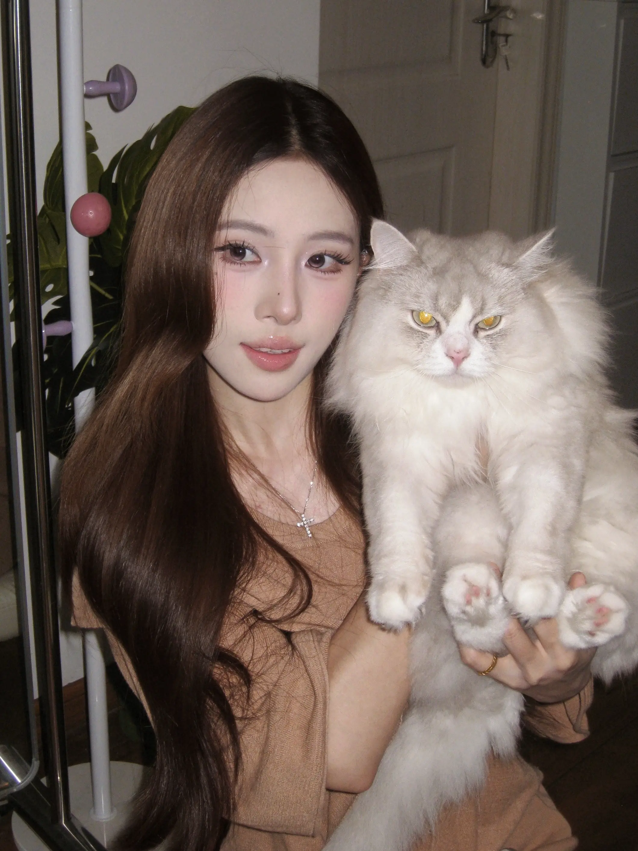 调皮之猫必有可爱之处。