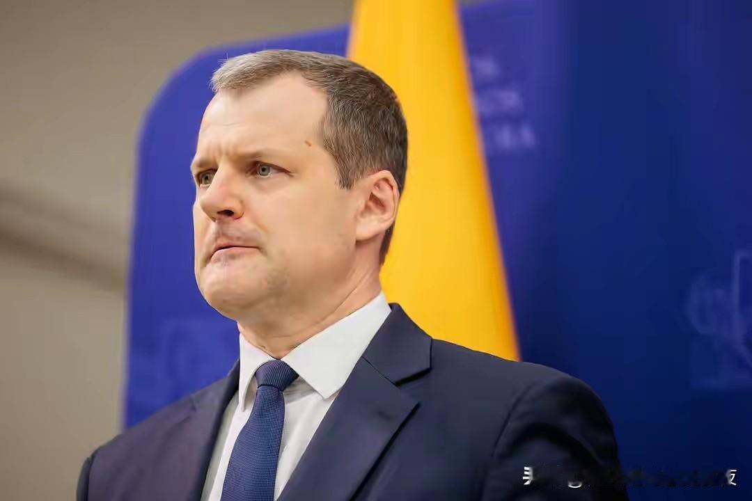 立陶宛：我们决定再给中方一次机会，望中方不要沉默，跟我们和好