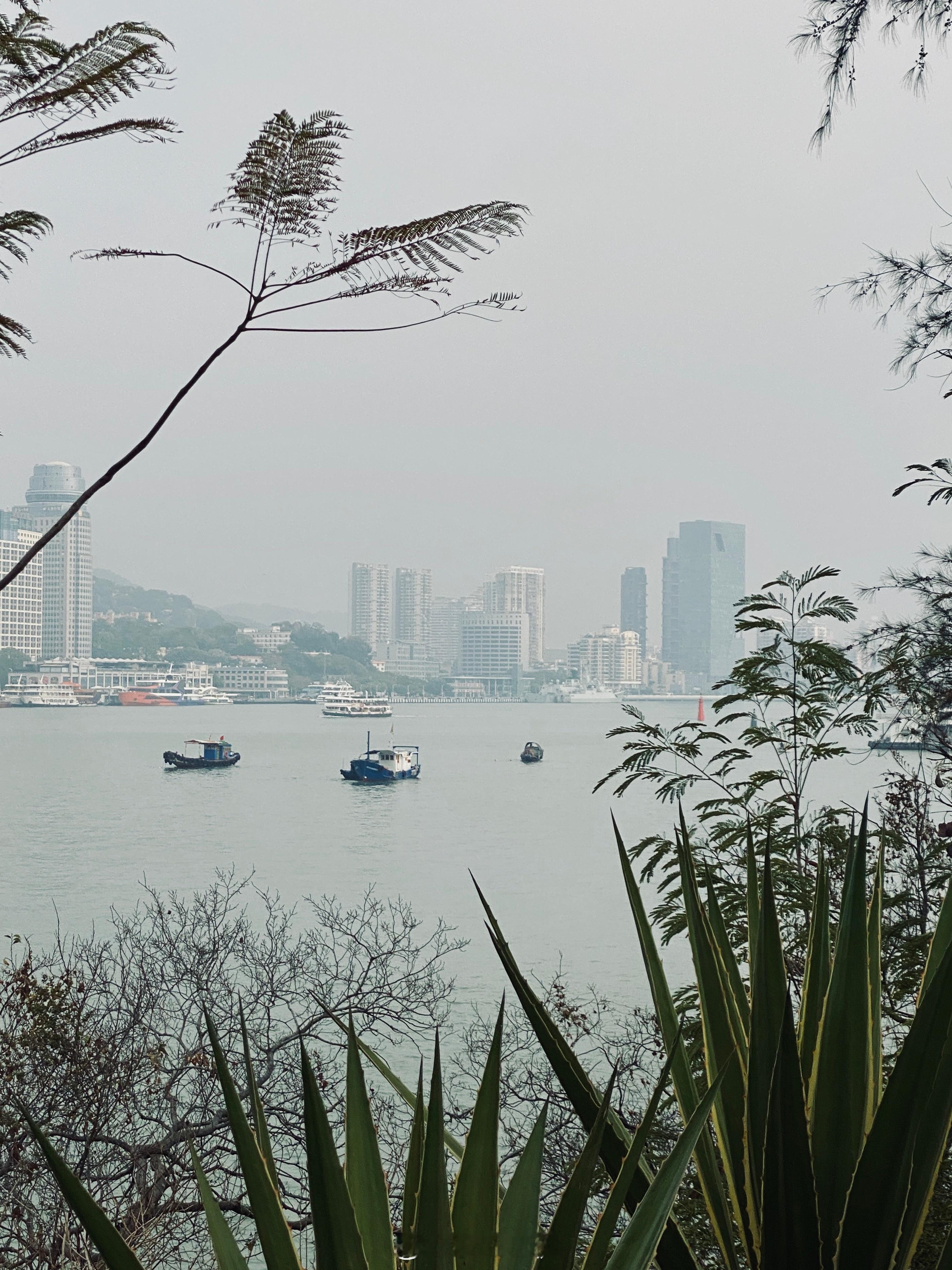 #日常# 假期旅行第三站📍厦门时光匆匆，上次来厦门还是九年前和闺蜜同事们一起，