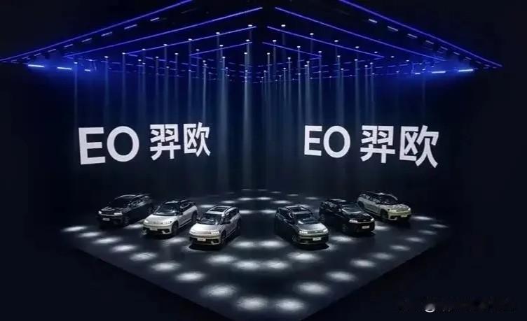 这车可不简单，用的是全球领先的E - GMP纯电平台。人家研发的时候，专门把咱普