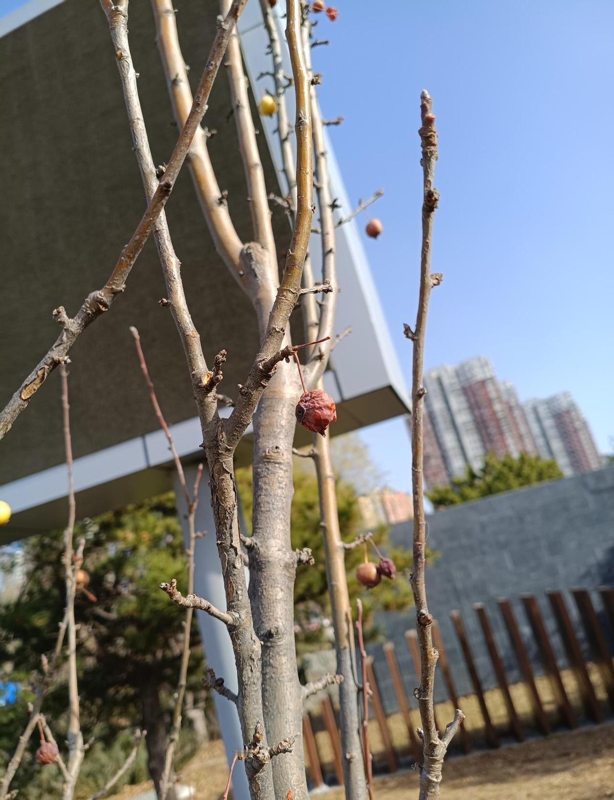 简历发出去像石沉大海，面试邀请却遥遥无期。
这不只是运气差，而是现在找工作的人太