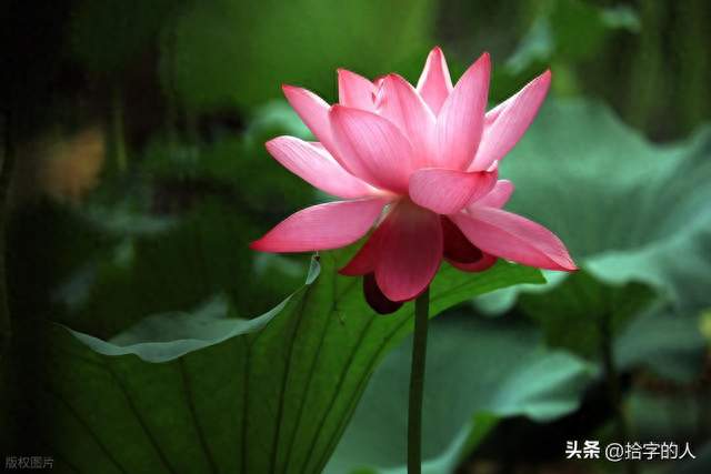 年轻人越来越少，老人越来越多，未来养老金究竟靠什么撑住？
