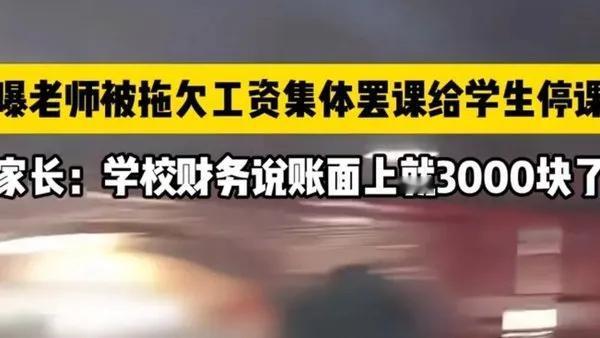 湖南一所高中的学费是15800元，老师不能发工资集体罢工，网友炒锅
15800元