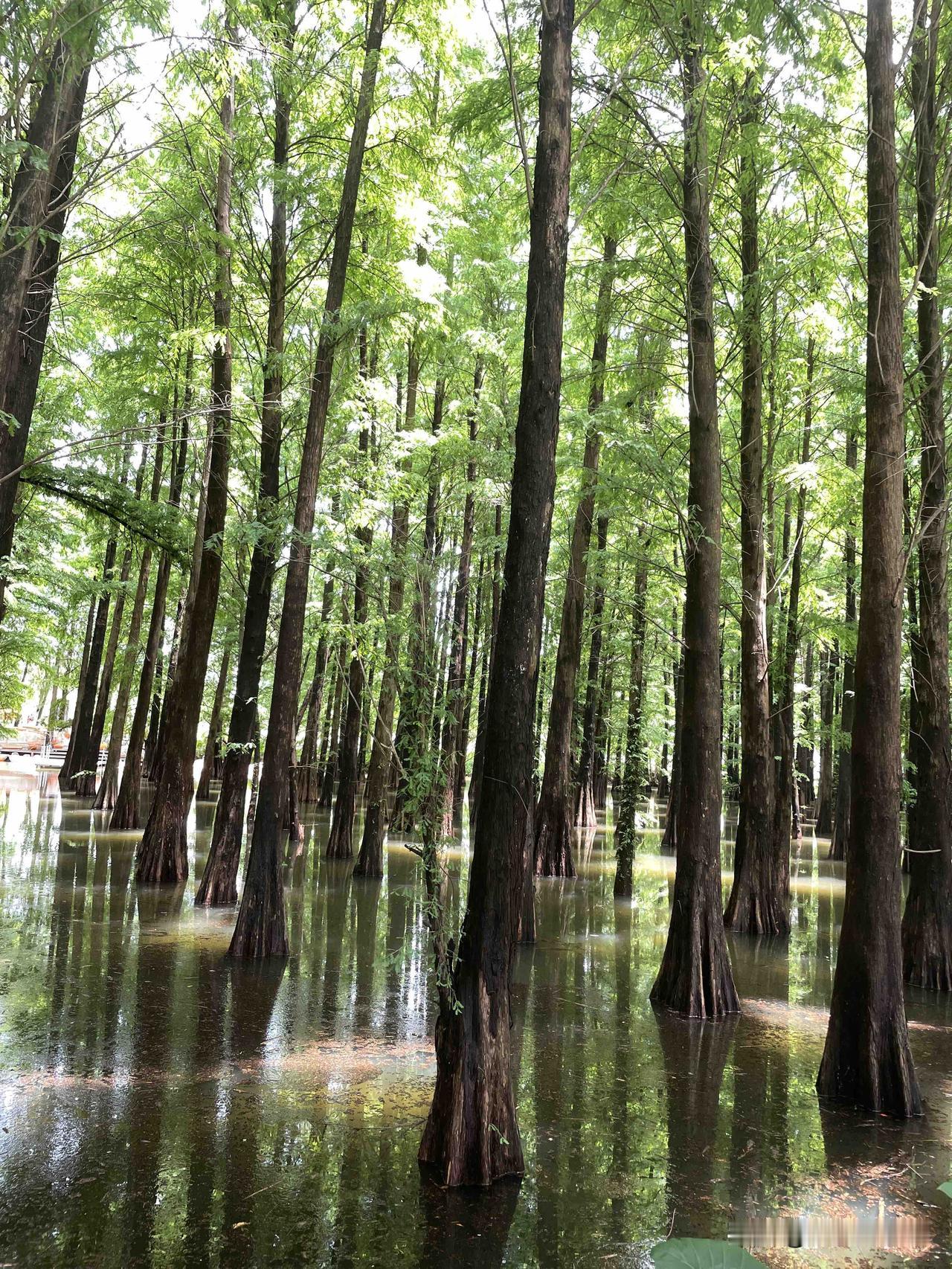 在最长的夜晚，善待最累的自己。好好吃饭，静静等待春天。