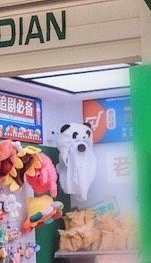 桥豆麻袋老棣方便利店有个帽子挺眼熟啊 ​​​