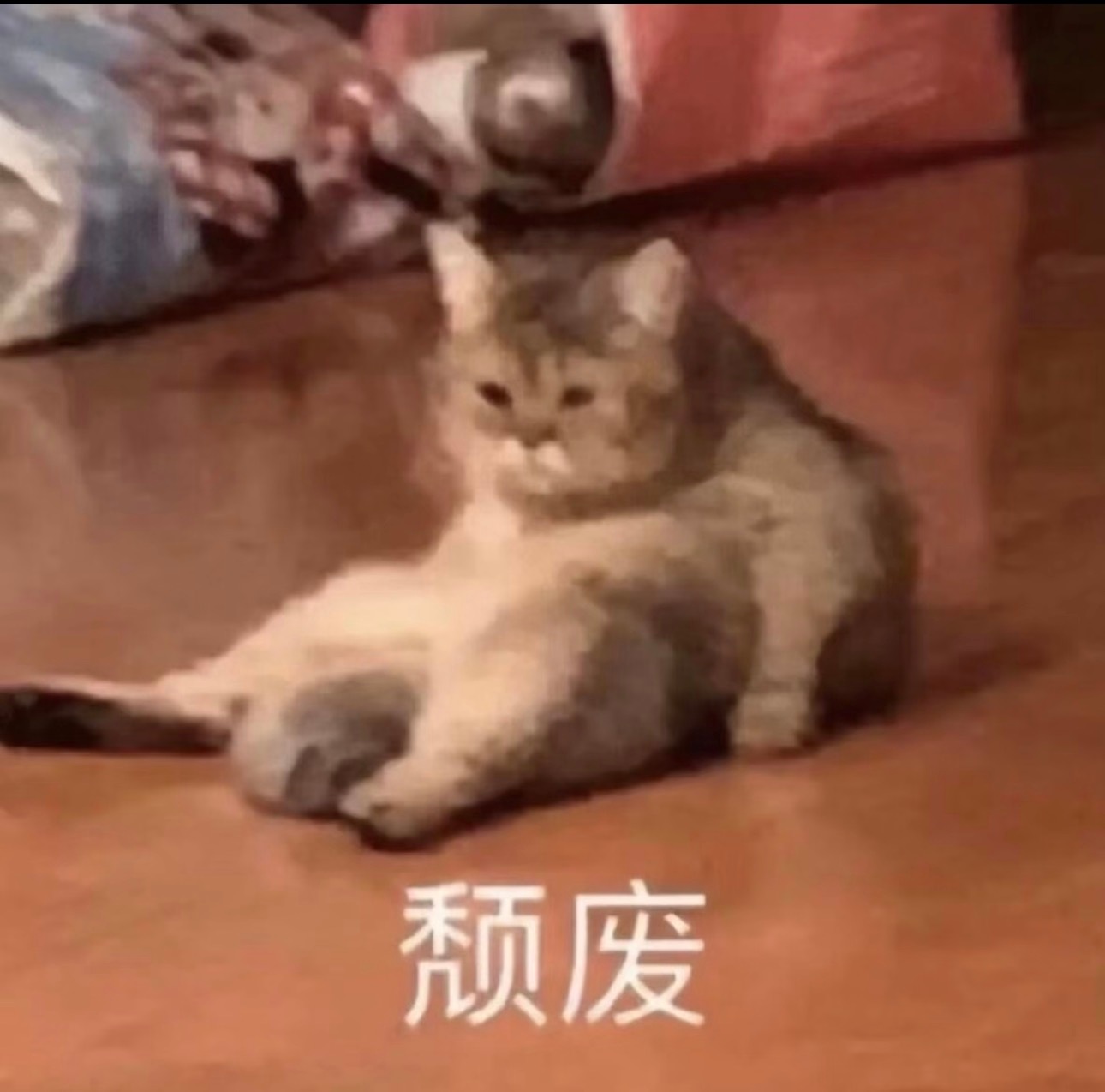 孙颖莎这几年里，我窝囊过，也窝囊过，窝囊过，也窝囊过，窝囊过，也窝囊过，窝囊过，