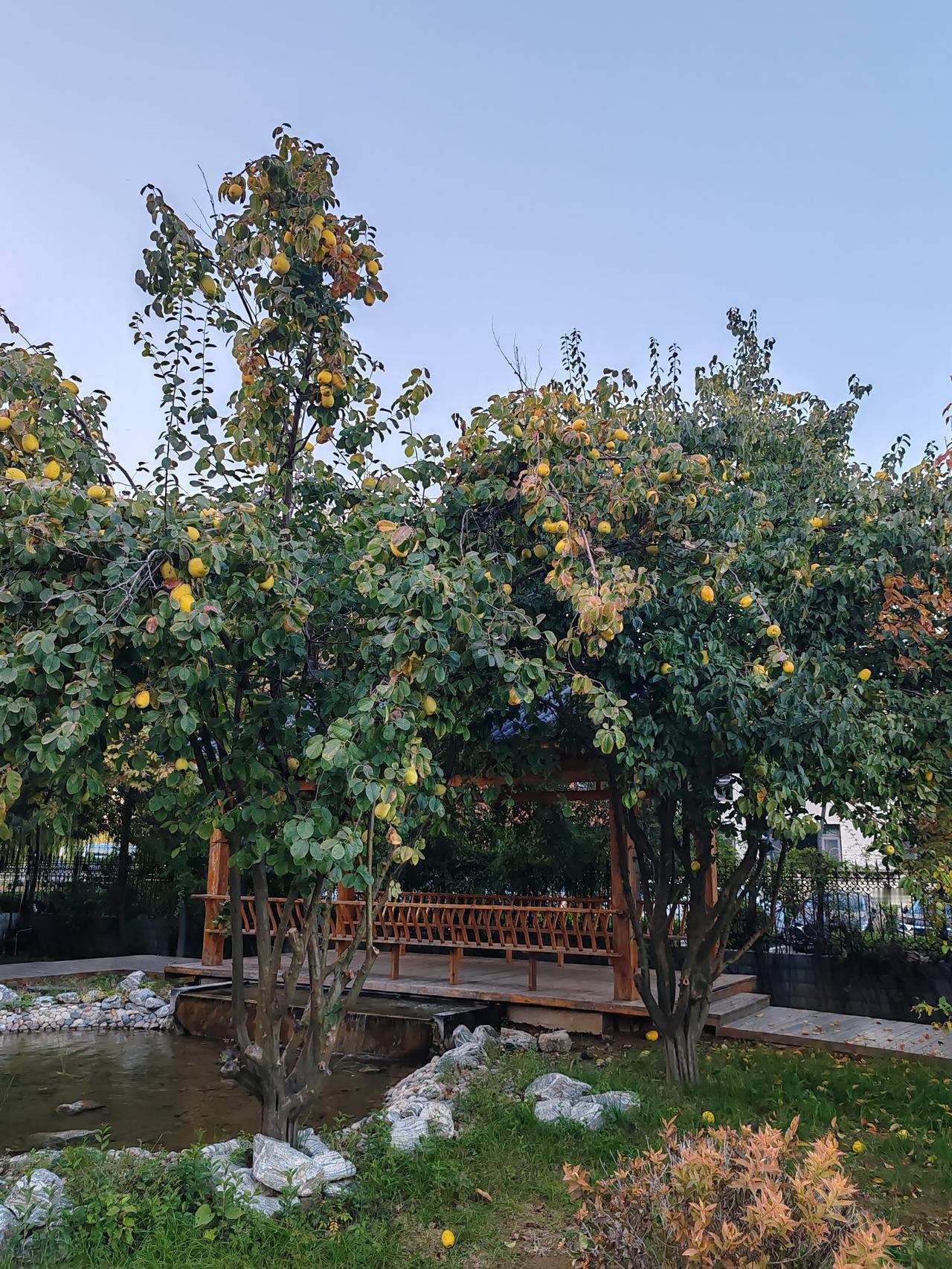 一卷闲诗香岁月，求下联几亩薄田馨人生