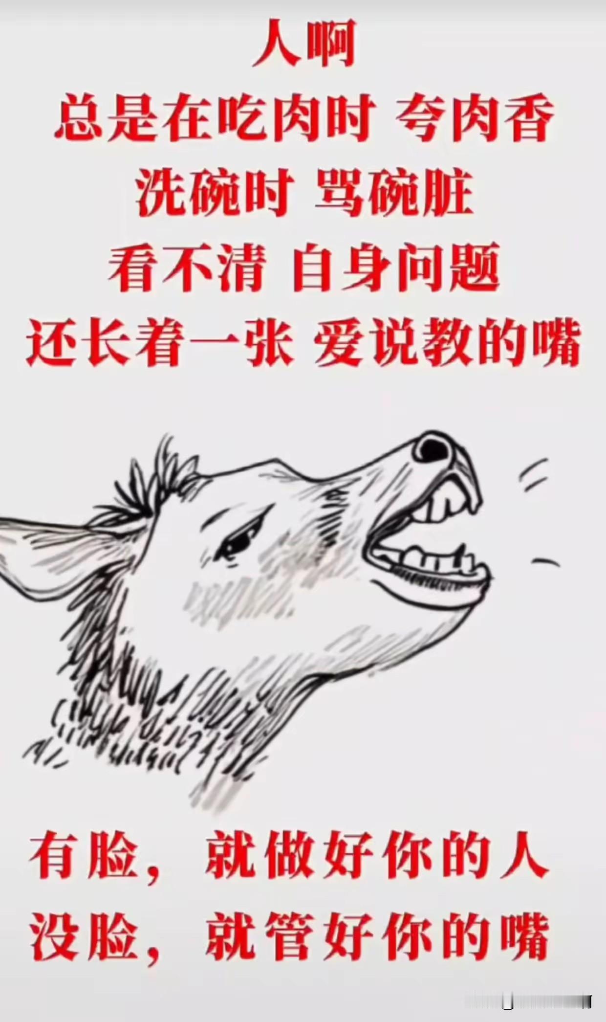 有人说我对父母不好，有人说我利用父母赚流量。
我笑了，冷冷的笑。
我想对这些人说