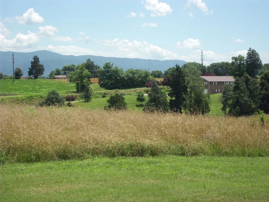 想看看你们的乡间风景～