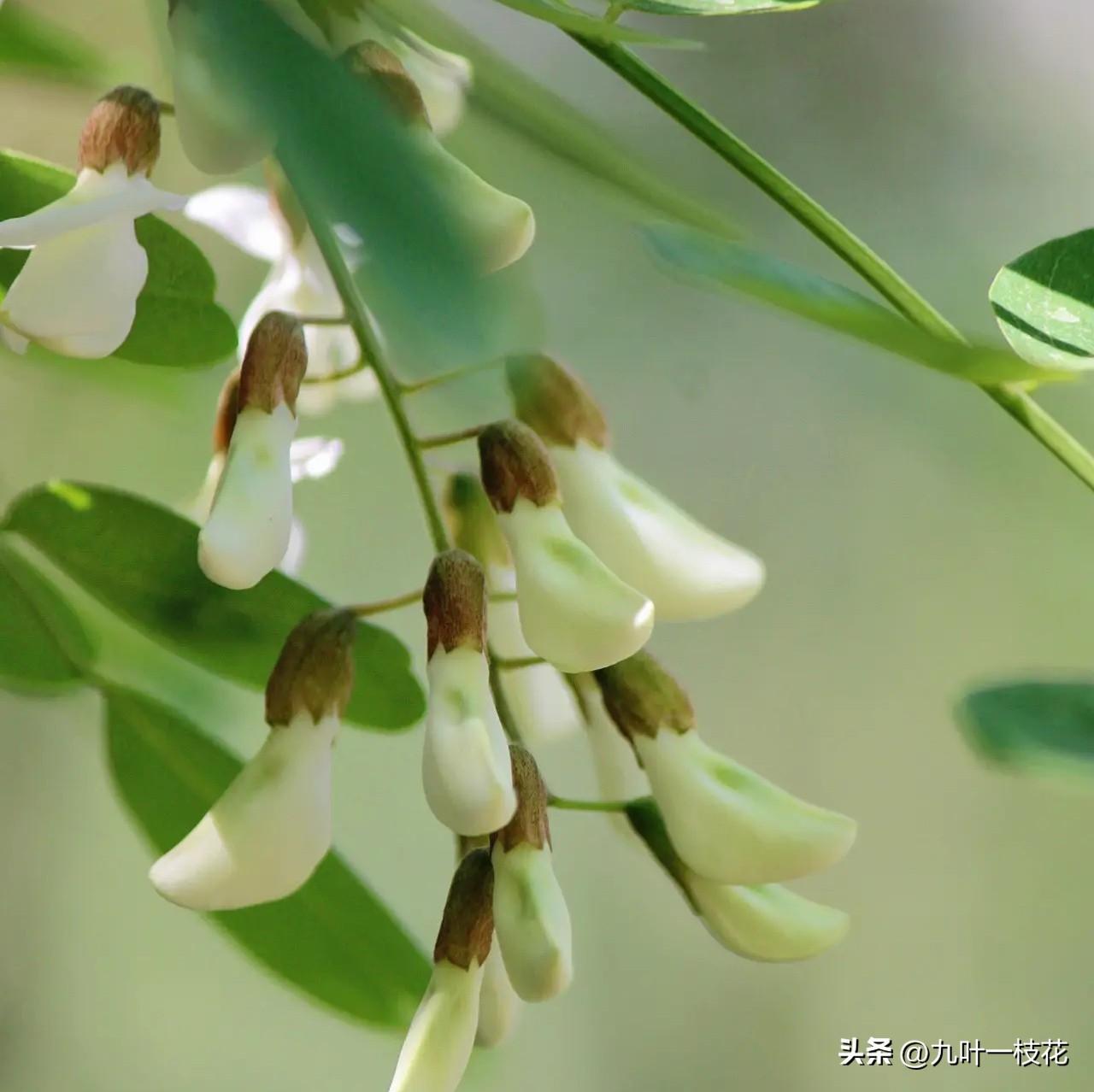 利欧股份今日分析

利欧股份今天高开低走，至午盘报收5.22元，下跌2.79%，