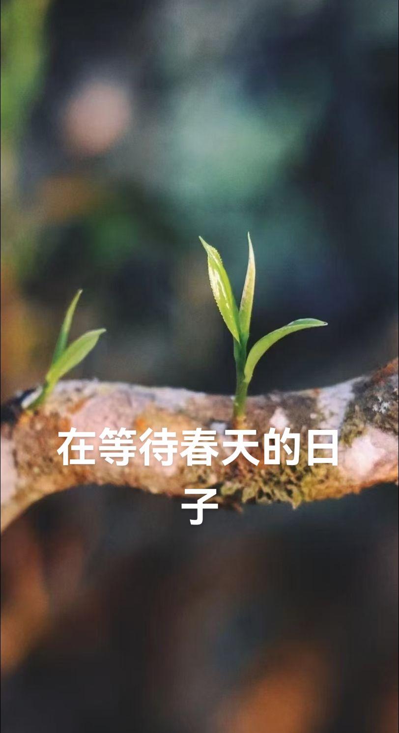 冬眠植物在等春天没有停止生产，而停止跑步人，整个世界都知道了。不停的看表，大口喘