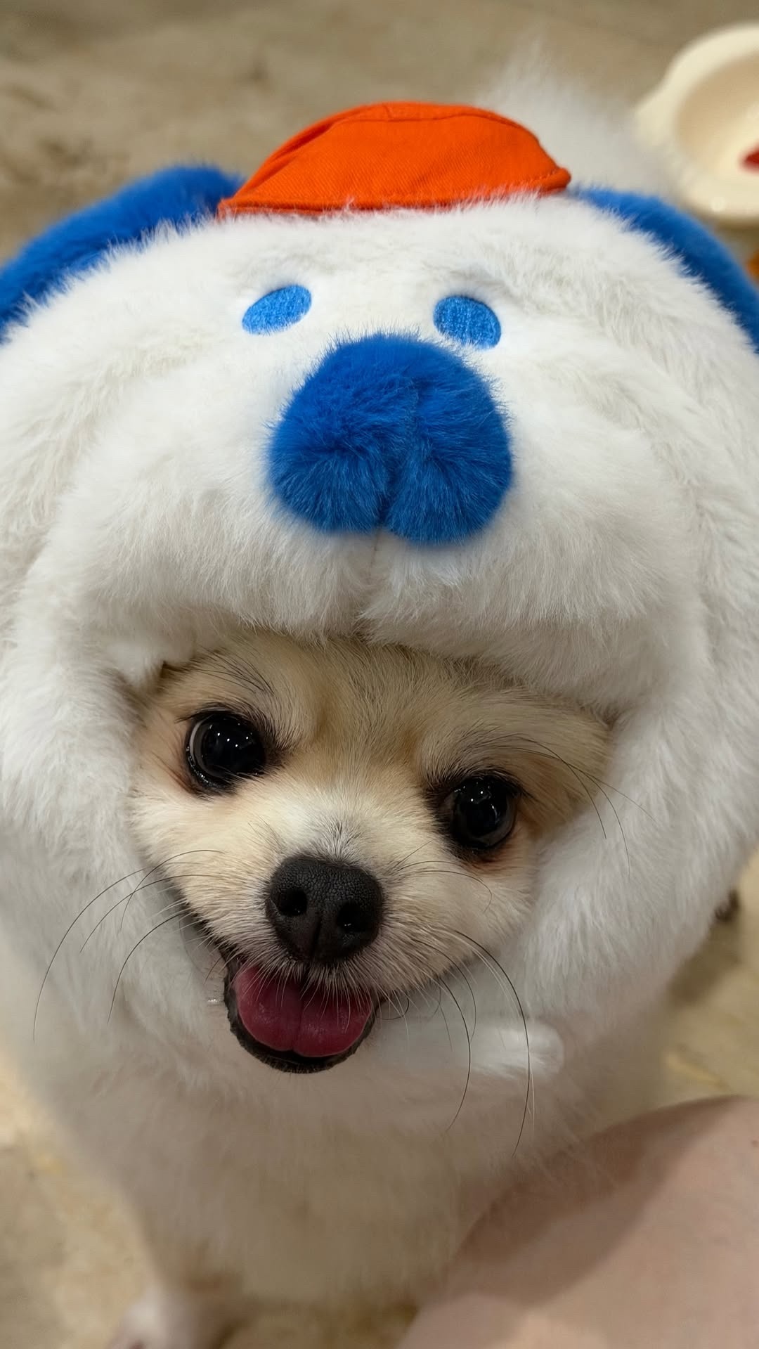 雾草 