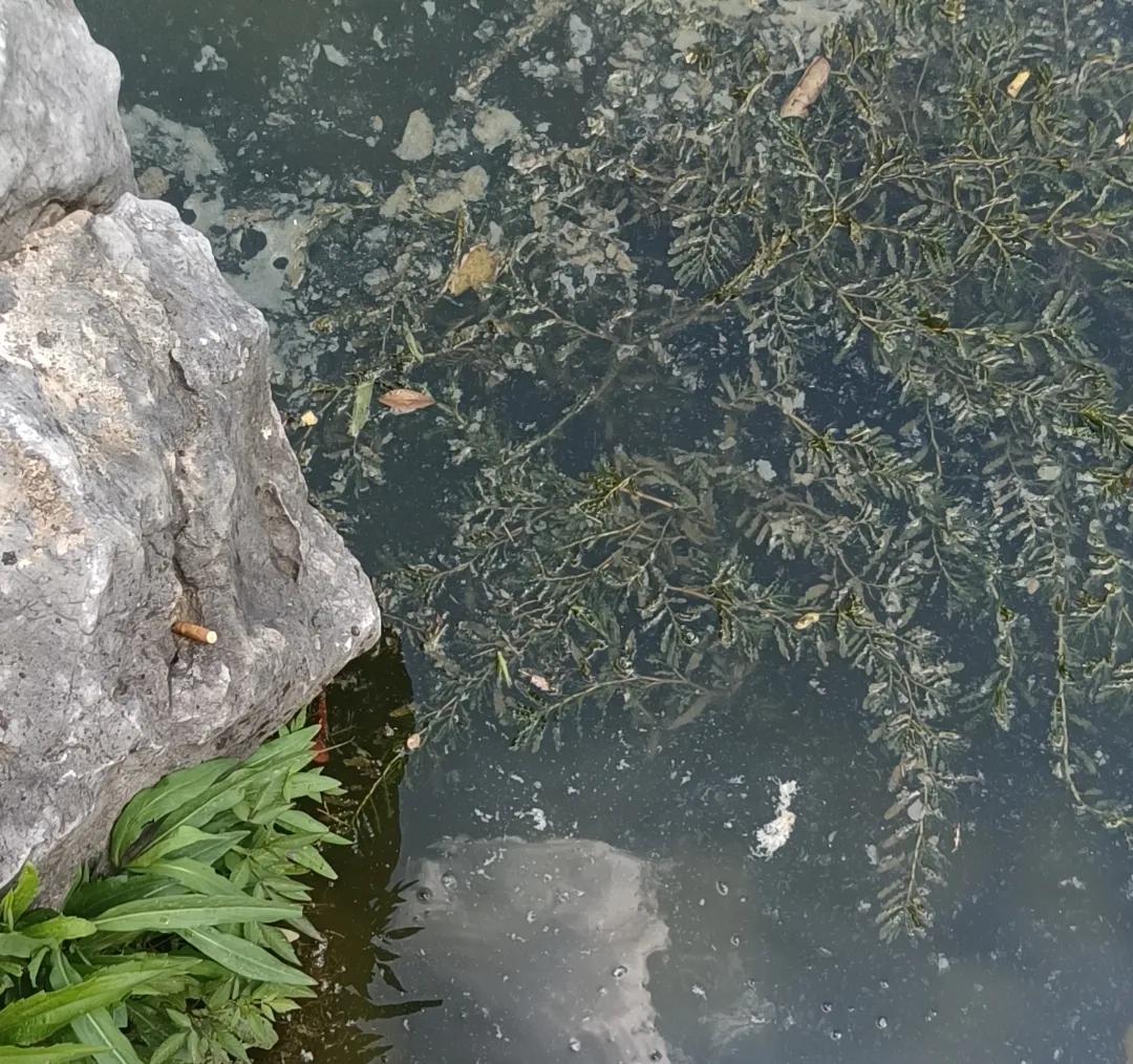 很多人觉得只有名山大川才值得一拍，其实不然。就像云南大理剑川县的沙溪古镇，那就是