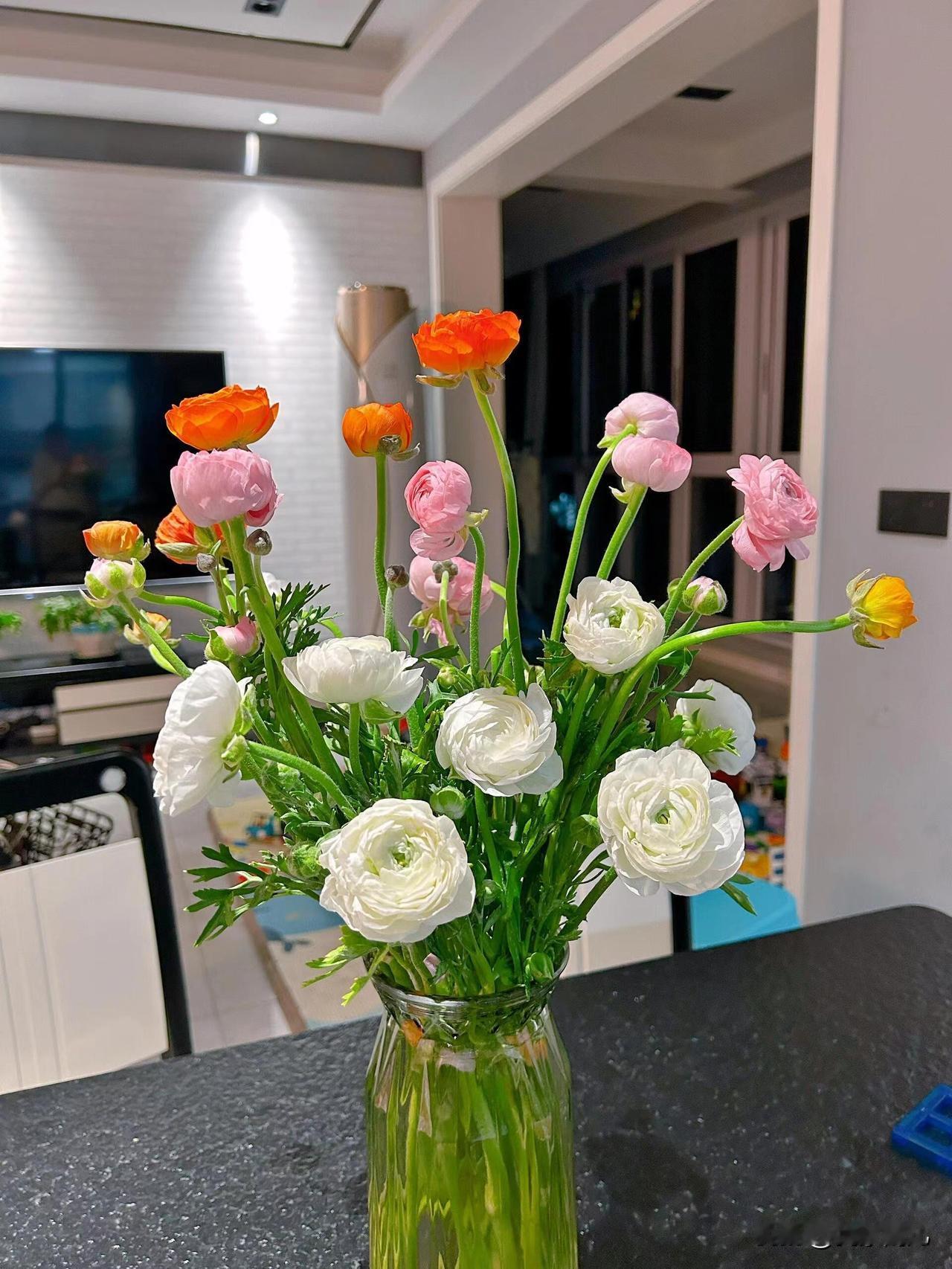 给2026的自己写句话谋爱前先谋事，爱人前先爱己，一站有一站的风景，一岁有一岁的