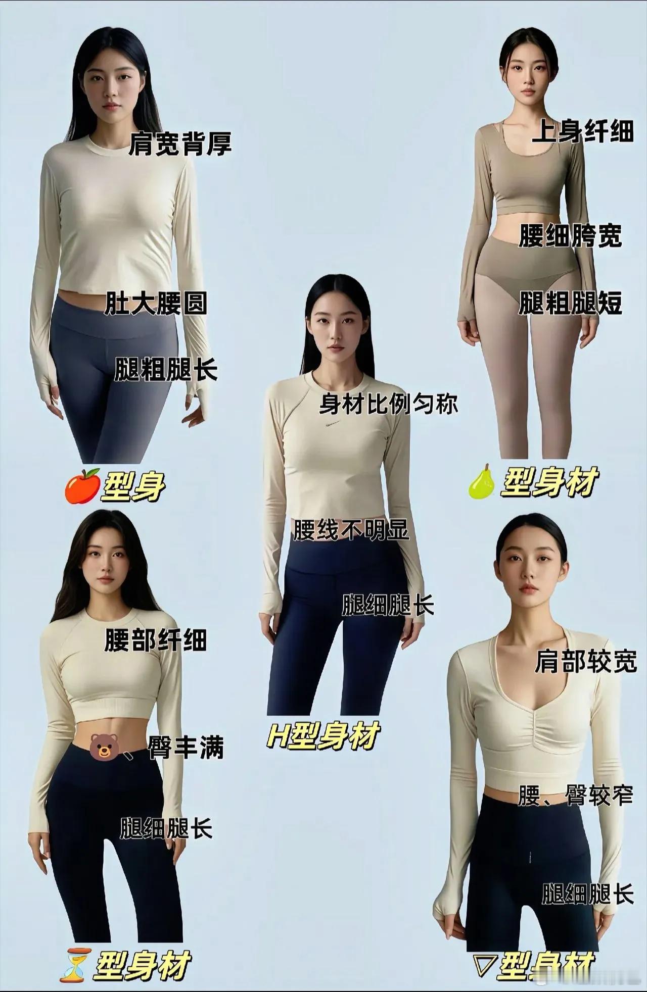 人体体型分类 ​​​