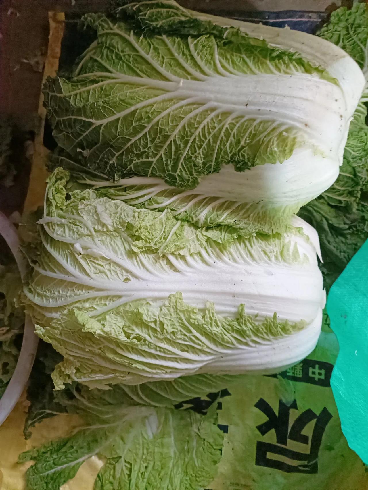 #秋日生活打卡季#