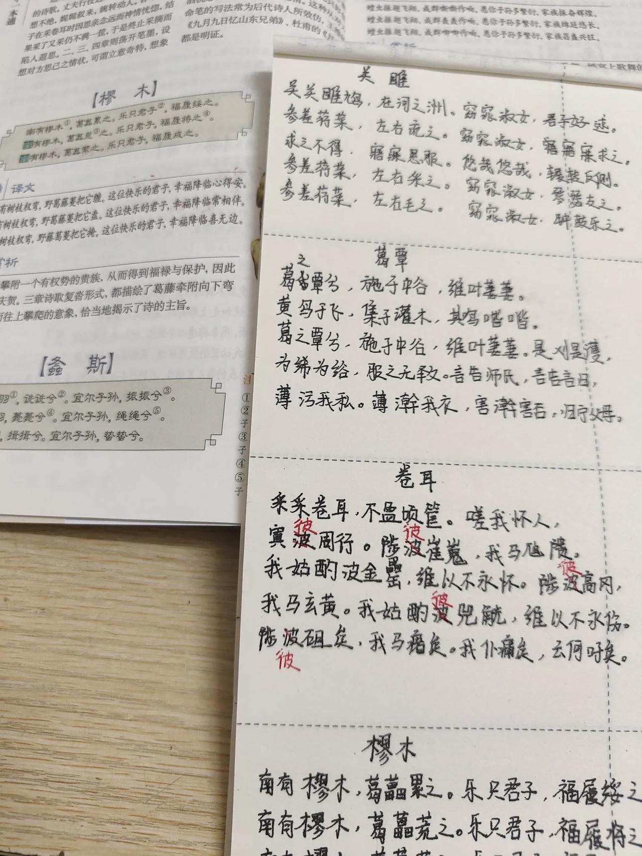 抄书打卡第36天，《樛木》，出自《诗经·周南》，这篇古诗讲述自己攀附了权贵从而获
