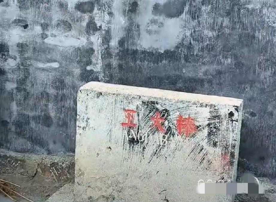 郓城县潘渡镇王大棒村
明朝洪武年间（1368—1398年），王氏祖迁此居住，取名