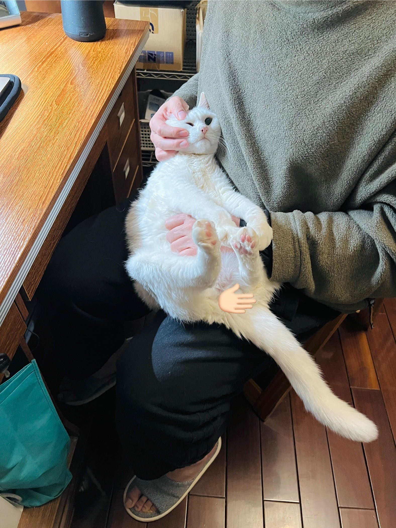 拔揉肚肚👋🏻 