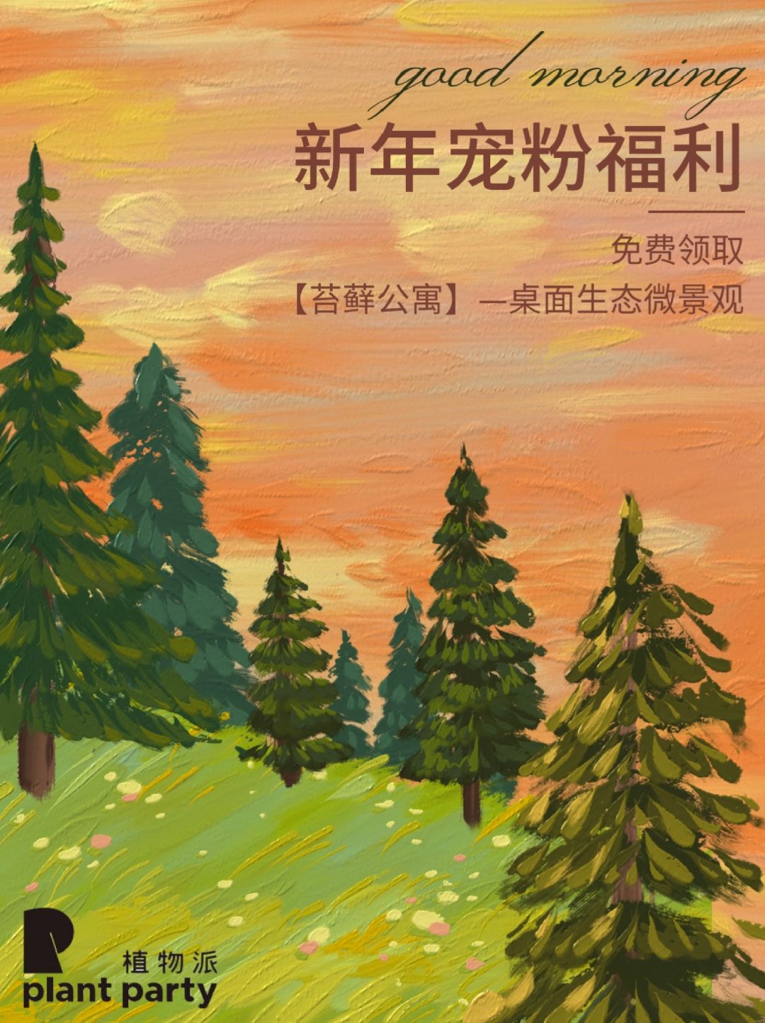 新年宠粉抽奖|2024，像植物一样生活