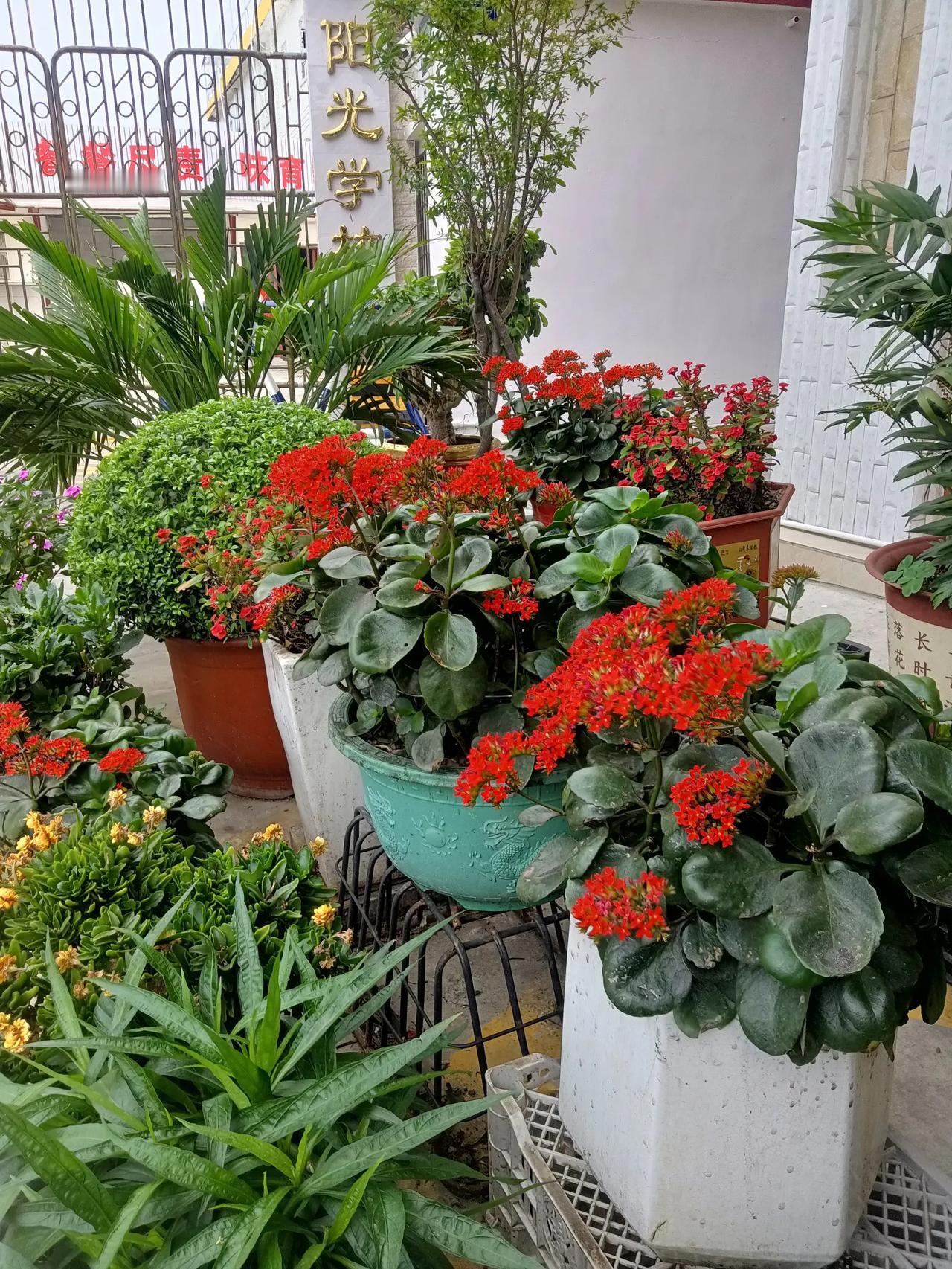 方圆天地，为头条联友对联：
柳靠春风增秀发，
花依细雨润芳华。