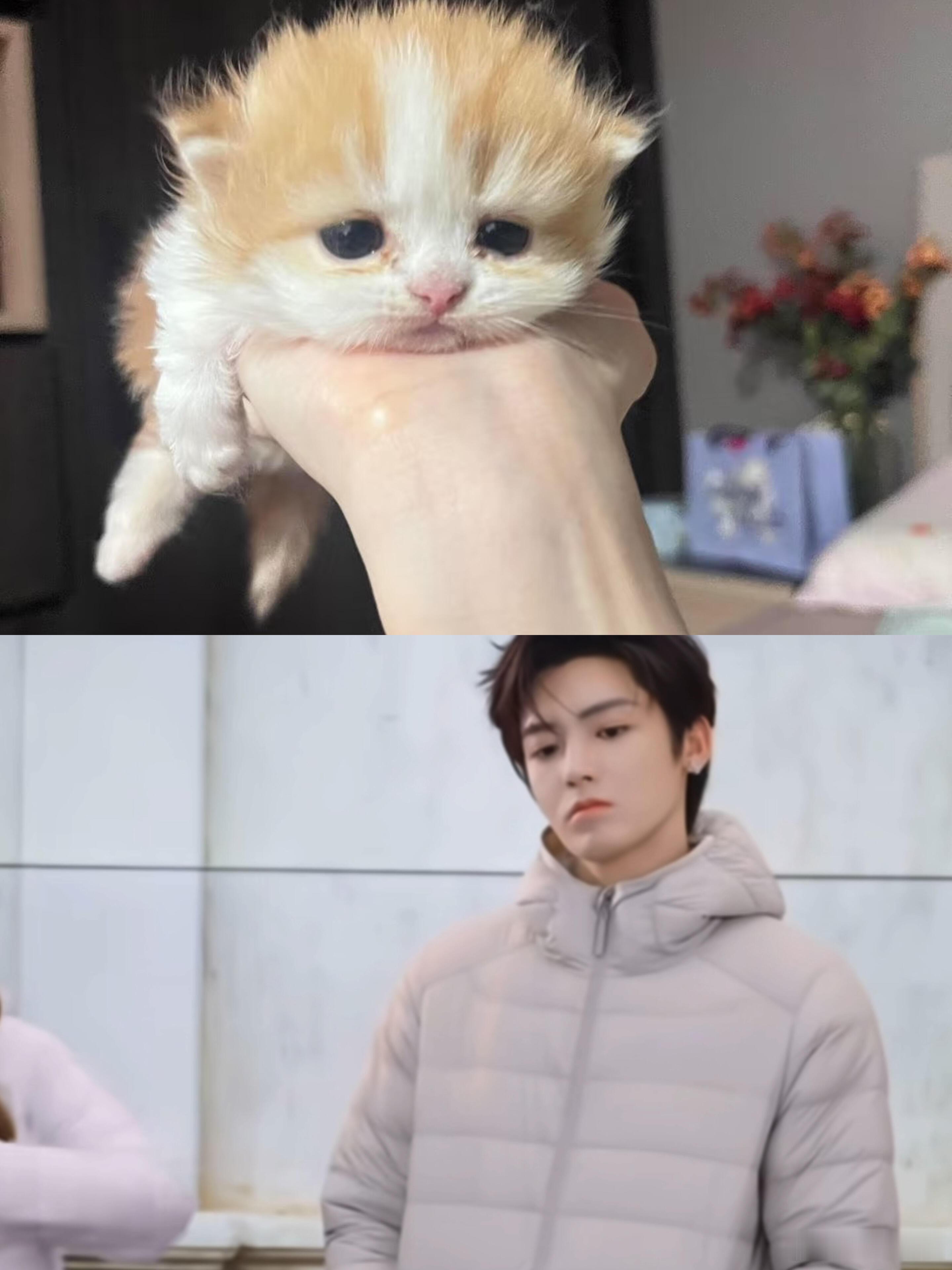 找到了侯明昊是猫的证据证据链完整，满分男有这样演技棒唱功好的脸蛋天才进入内娱简直